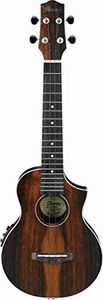 Ibanez UEW