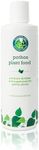 Pothos Fertilizer - Liquid Fertiliz