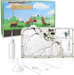 ELNMLHT Ant Farm Castle, Ant Nest Farm for Live Ants, Ant Colony Observation Kit, Ant Habitat Science Learning Kit for Students Kids Children