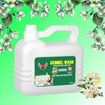 Kennel wash | tickzoff.com | to Disinfect House | to removes Bad Odor in House Caused by Pets (Jasmine, 5000ml)