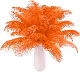THARAHT Orange Ostrich Feathers 24pcs Natural Bulk 10-12Inch 25cm-30cm for Crafts Wedding Party Centerpieces Halloween and Home Decoration Feathers