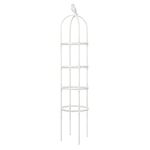 FGYZYP Garden Tower Obelisk, 6ft Tall Durable Metal U-Shaped Flower Support Stand for Climbing Vine Plant Party Outdoor Floral Decor Support Morning Glory Ivy Roses Cucumbers Clematis