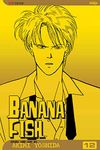 Banana Fish, Vol. 12 (Volume 12)