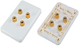 Home Theatre 2 Speaker Wall Plate