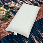 ORGANIC SLEEP Standard Pincore Pillow, 100% Natural Latex, Size 24x16 Inch, Thickness 4 inch Pincore Technology & Bounce Back Property, Breathable, Pack of 1 with Cotton Cover