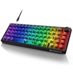 YOUSUOMASTER Gaming Keyboard, Mechanical Gaming Keyboard, Red Axis, Linear Switch, USB, Wired RGB Backlight, Numeric Keypadless, Detachable Cable, All Key Collision Proof, Small, 65% Size, Compact,