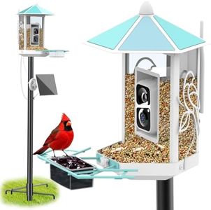 Metal Bird Feeder with Camera and 74.5 Inch Pole - Smart Camera Bird Feeder Solar Powered with 2K Live Stream for Backyard, AI Identify Auto Capture Videos, Unique Outdoor Gifts for Mom and Dad
