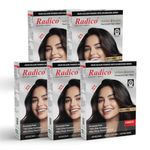 Radico Herbal Henna Black Hair Colur | Pack of 5