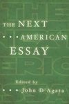 New American Essays