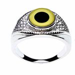Unisex Owl Glass Eye Ring in an Eye-Shaped Stainless Steel Setting by Steel Dragon Jewelry (Owl, 10)