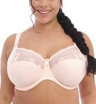 Elomi Women's Plus Size Morgan Underwire Banded Stretch Lace Bra, Ballet Pink, 36J