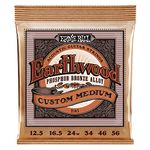 Ernie Ball Earthwood Custom Medium Phosphor Bronze Acoustic Guitar Strings - 12.5-56 Gauge