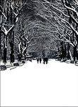 New York City Central Park Poet's Walk. NY Christmas Cards Boxed Set of 12 Holiday Cards And 12 Envelopes. Made In USA