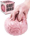 Giant Brain Stress Ball: A giant stress toy shaped like a circular cranium!