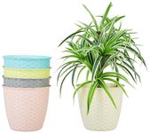 Amazon Brand - Solimo 100% Virgin Plastic Round Pots for Plants | Unique Design | Indoor and Outdoor Flower Pot for Home/Office/Table/Garden/Balcony Decoration | 8 inch (Set of 5)