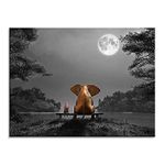 Wall Art for Bathroom Animal Resting Elephant Look at The Moon Tree Wall Pictures 50x70 Giclee Wall Decor on Canvas Stretched Artwork Living Room Bedroom Ready to Hang