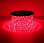 Mufasa LED Rope Light Indoor Outdoor Strip Home Decoration Lights, Diwali Festival Lights False Ceiling, Balcony 220V AC (Non Adhesive Back) (Red, 10 Meter)