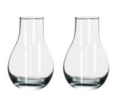 Urban Moon Glass Vase, Flower Vase, Vessel, Money Plant Pot, Glass Bottle for Milk, Coffee, Tea | Restaurants, Kitchen, Office, Table & Home Decoration & Gifts (Surahi Shape Pot) - Set of 2 Piece