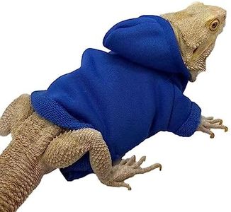 Lizard Clo