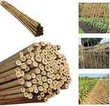 Gardens 2Ft,3Ft,4Ft,5Ft,6Ft,7Ft,8FT,10Ft Strong Heavy Duty Professional Bamboo Plant Support Garden Canes (20, 2ft, 12-14 mm)