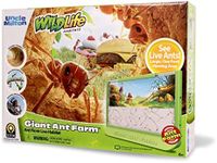 Uncle Milton Giant Ant Farm - Large