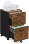 VASAGLE 2-Drawer File Cabinet, Fili