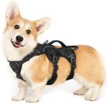 rabbitgoo Escape Proof Dog Harness,