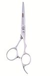 SHEARSDIRECT Japanese Premium VG-10 Stainless Pro Styling Shear with Ergonomic Handle, 7.0-Inch, 10-Ounce