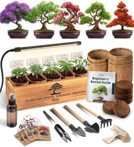 AVERGO Bonsai Tree Kit Deluxe + Growing Light - 5X Unique Japanese Bonzai Trees | Complete Indoor Bonsai Starter Kits for Growing Trees – DIY Gardening Gifts for Mother, Women & Men