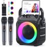 Ankuka Karaoke Machine 2 Microphones Karaoke Machine for Adults & Kids Portable Bluetooth Speaker with PA System, Supports TWS/FM/AUX/USB/TF/REC for Party, Birthday, Home (Black)