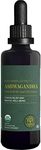 Global Healing Organic Ashwagandha Supplement Drops - KSM-66 Ashwagandha Extra Strength for Men & Women - Helps Promote Relief from Stress, Ashwagandha Complex, Ashwagandha Tincture Organic (2 Fl Oz)