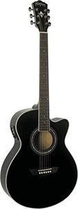 Washburn E