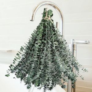 36 PCS Dried Eucalyptus for Shower Hanging - 17'' Real Large Preserved Eucalyptus Stems Green Home Decor, 100% Made from Fresh Eucalyptus Leaves, Bathroom Shower Decor, Wedding, DIY