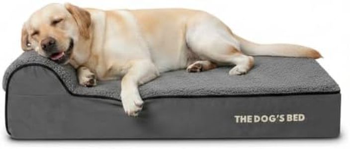 The Dog’s 