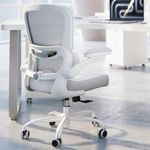 TRALT Ergonomic Office Chair - Desk