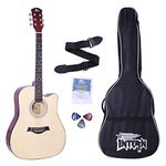 INTERN 41 inches Acoustic Guitar with truss rod. Includes carry bag, strings pack, strap & plectrums. Premium Wooden durable built, tonal stability & for all age-groups (Refreshing Natural).…