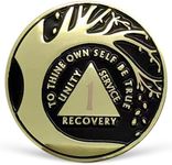 1 Year Sobriety Coin Tree of Life A