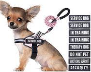 Service Dog Vest Harness and Leash 