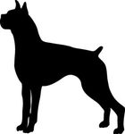 Boxer Dog Profile Standing Decal Vinyl Sticker|Cars Trucks Vans Walls Laptop| BLACK |5.5 x 5 in|CCI492