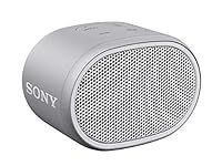 Sony SRS-XB01 Compact Portable Blue