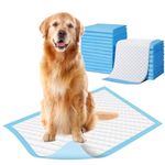 ZOIVANE XL Pee Pads for Dogs | Pack of 60 | Training Pads for Dogs Potty Training Pads, Dog Pee Pads, Pee Mat for Dogs, Pet Training Pads, Leak-Proof Protection - 60X90 cm