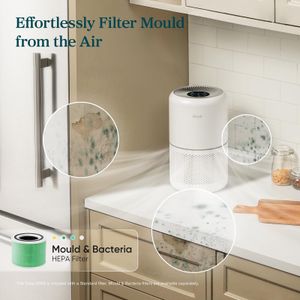 Levoit Smart HEPA Air Purifier – Home & Bedroom, 10-Inch