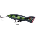 Saltwater Lures For Surf Fishing