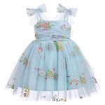 Baby Girl Floral Dress Toddler 1st 2nd 3rd Birthday Party Princess Dresses Self Tie Bowknot Spaghetti Straps Flower Embroidery Ruffle Swing A-line Short Dress Summer Sundress Blue Embroidery 6-12M