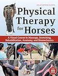 Physical Therapy for Horses: A Visu