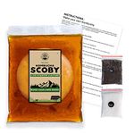 Peepal Farm Products Kombucha Scoby Liquid Natural Probiotic Culture And Starter Black Tea 100% Natural, No Preservative Keto-Friendly, Low Sugar, Vegan, Gluten-Free (400Ml), 400 Mg