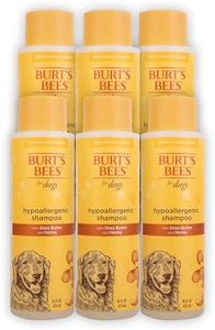 Burt's Bee