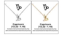 2Pcs Zodiac Necklace for Women Birthday Month Necklace Jewelry Horoscope Constellation Pendant Astrology Birthday Month Necklace (Capricorn)