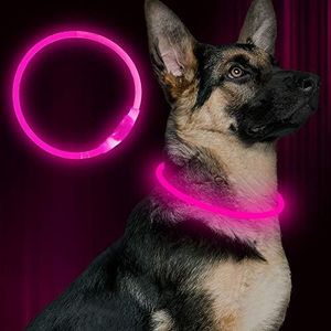 Led Dog Co