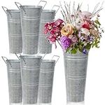 Set of 6 Galvanized Metal Vases Far